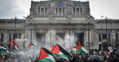 Intervento dei GPI di Milano al Coordinamento nazionale del Flna